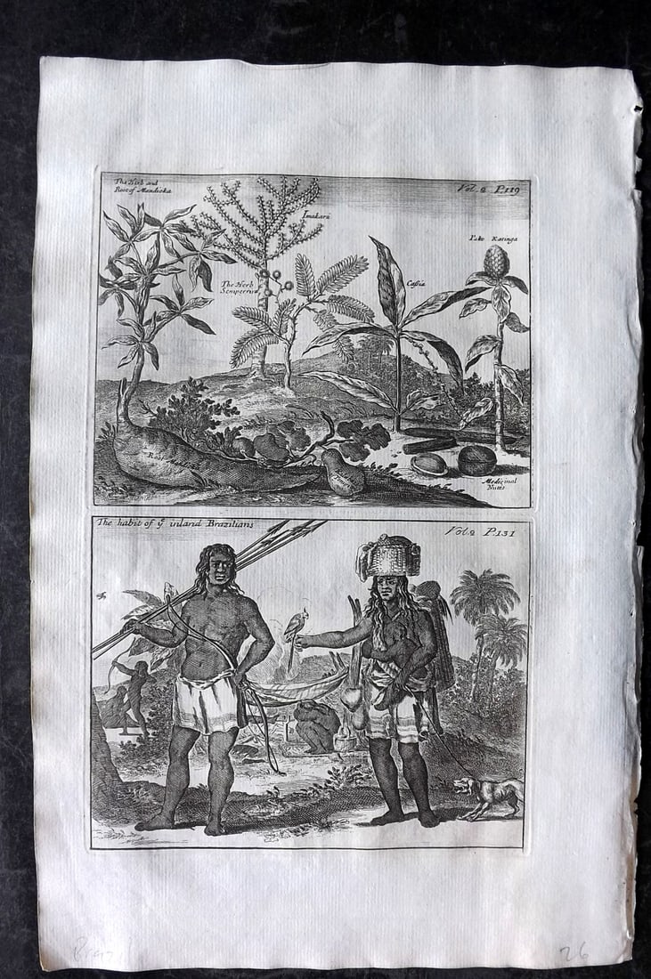 Churchill & Nieuhof 1744 Folio Print. Brazil Natives & Botanical Study: Folio Copper Plate Published 1704-47 [1744] London for "A Collection of Voyages and Travels..." By Awnsham & John Churchill. The work based mostly on the Voyages and Travels into Brasil and the East-I