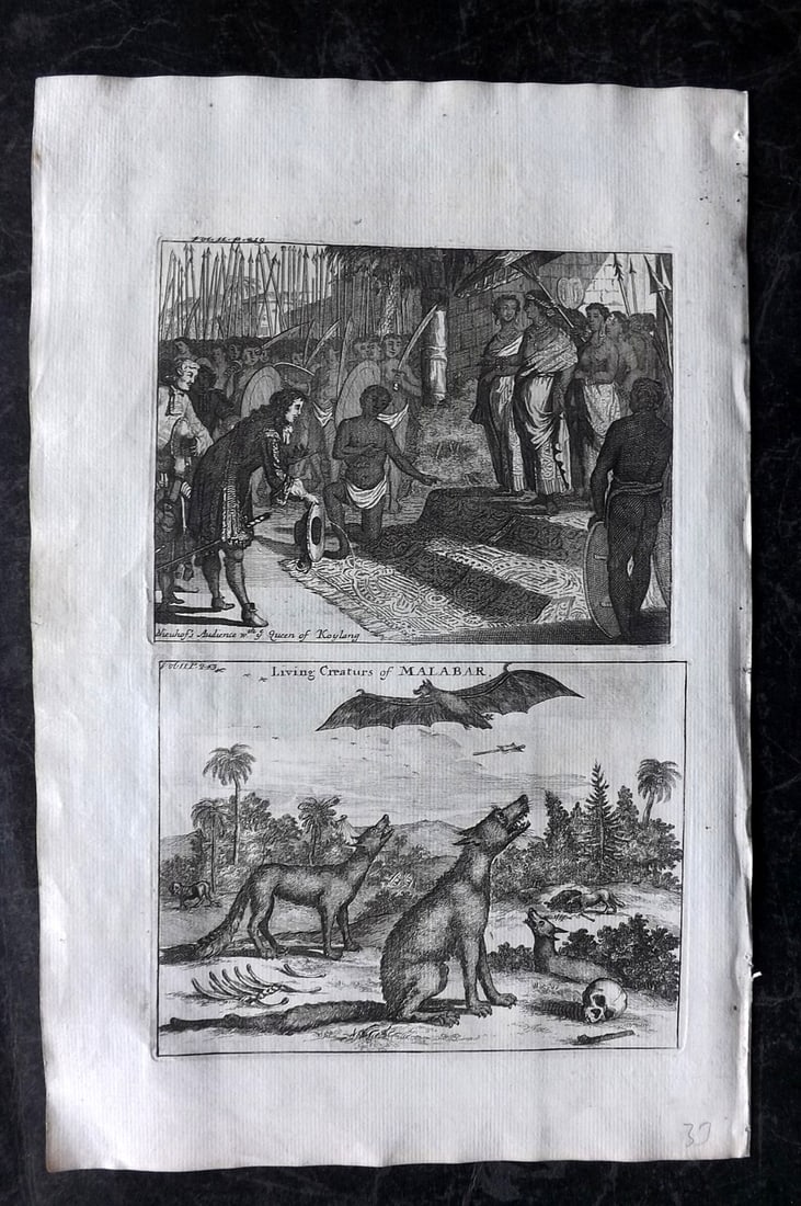 Churchill & Nieuhof 1744 Print. India - Nieuhof & Queen of Koylang, Bats & Malabar Mammals (1 of 2)