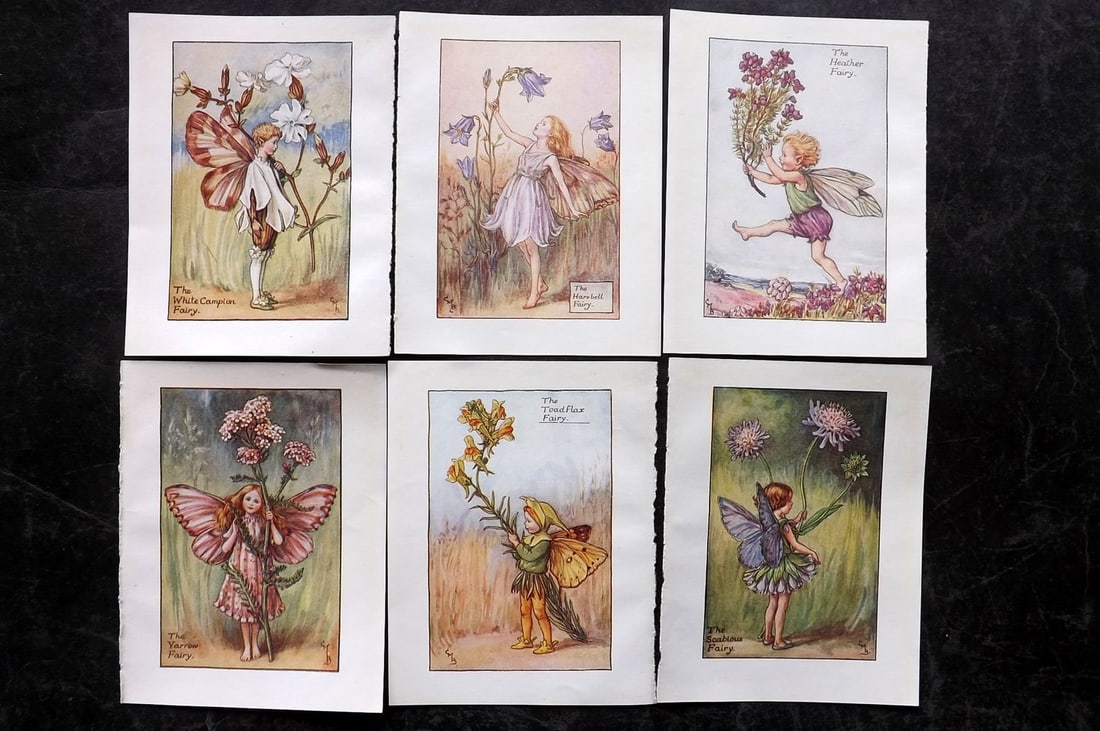 Barker, Cicely Mary C1940 Lot of 6 Flower-Fairy Prints - Summer: Summer Fairies. Lithographs Published C1935-45 by Blackie & Son, London & Glasgow for the "Flower-Fairies" Series by Cicely Mary Barker. Reverse side blank. Paper Size: 5.5 x 4 inch (14 x 10cm) Good C