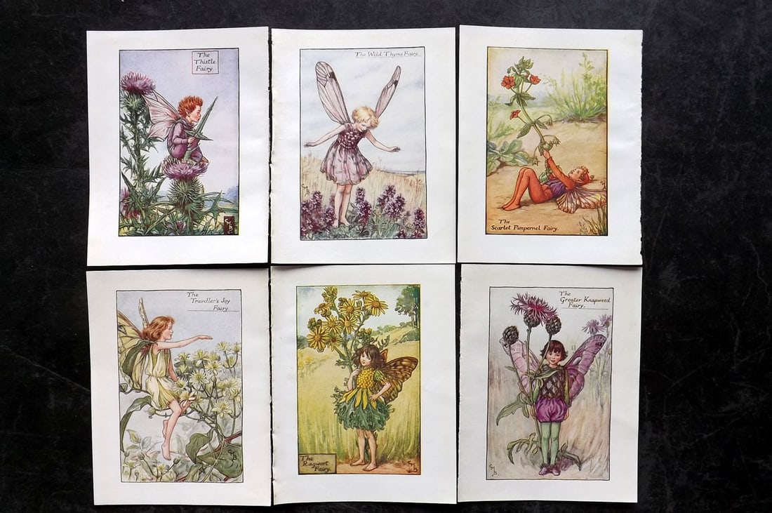 Barker, Cicely Mary C1940 Lot of 6 Flower-Fairy Prints - Summer: Summer Fairies. Lithographs Published C1935-45 by Blackie & Son, London & Glasgow for the "Flower-Fairies" Series by Cicely Mary Barker. Reverse side blank. Paper Size: 5.5 x 4 inch (14 x 10cm) Good C