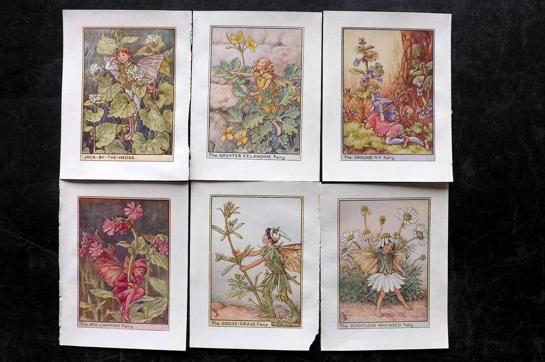 Barker, Cicely Mary C1940 Lot of 6 Flower-Fairy Prints - Wayside: Wayside Fairies. Lithographs Published C1935-45 by Blackie & Son, London & Glasgow for the "Flower-Fairies" Series by Cicely Mary Barker. Reverse side blank. Paper Size: 5.5 x 4 inch (14 x 10cm) Good 