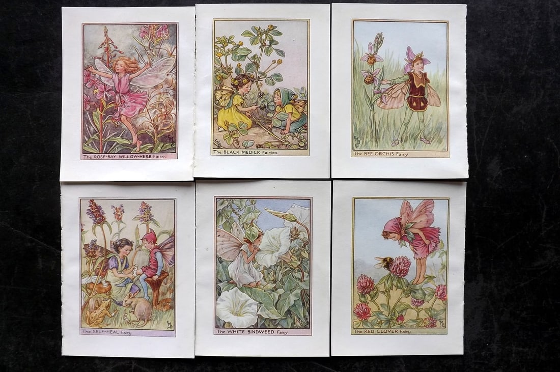 Barker, Cicely Mary C1940 Lot of 6 Flower-Fairy Prints - Wayside: Wayside Fairies. Lithographs Published C1935-45 by Blackie & Son, London & Glasgow for the "Flower-Fairies" Series by Cicely Mary Barker. Reverse side blank. Paper Size: 5.5 x 4 inch (14 x 10cm) Good 