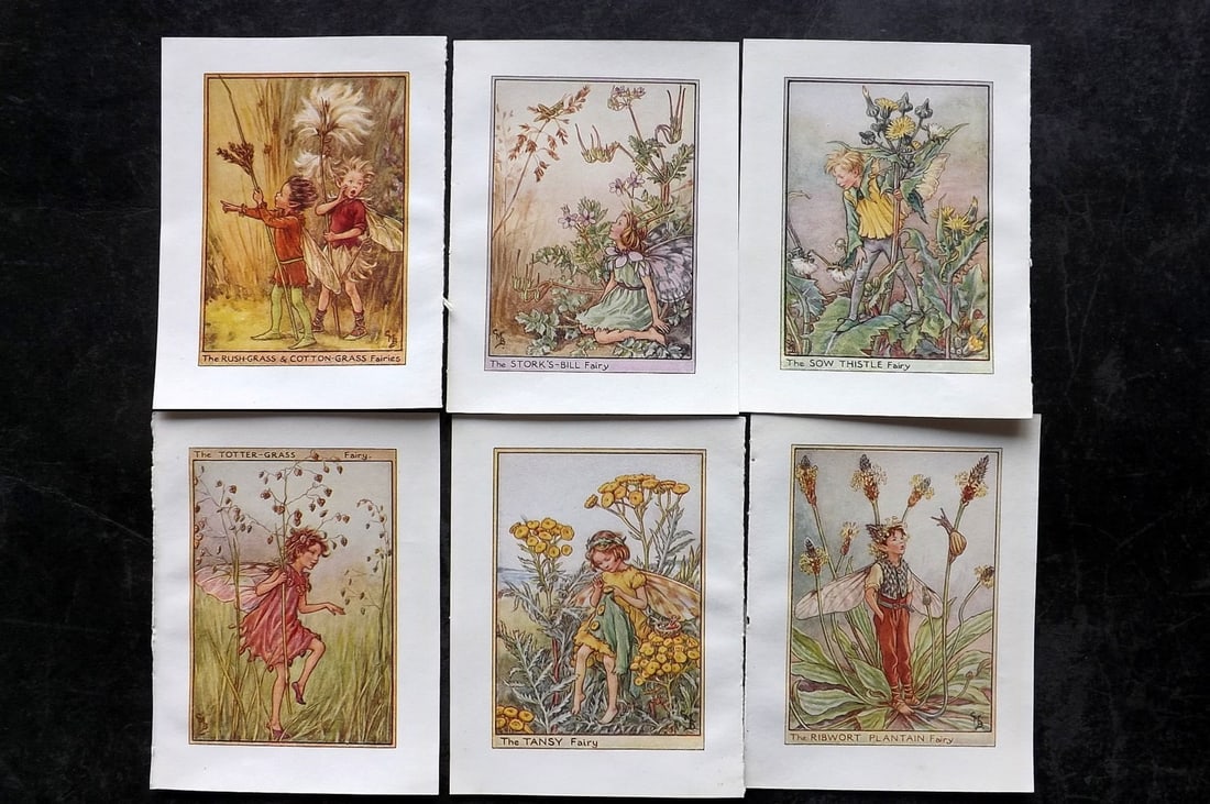 Barker, Cicely Mary C1940 Lot of 6 Flower-Fairy Prints - Wayside: Wayside Fairies. Lithographs Published C1935-45 by Blackie & Son, London & Glasgow for the "Flower-Fairies" Series by Cicely Mary Barker. Reverse side blank. Paper Size: 5.5 x 4 inch (14 x 10cm) Good 