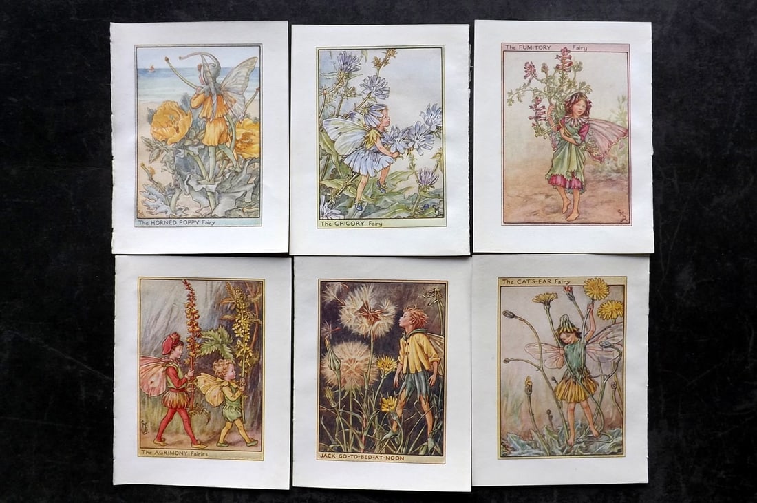 Barker, Cicely Mary C1940 Lot of 6 Flower-Fairy Prints - Wayside: Wayside Fairies. Lithographs Published C1935-45 by Blackie & Son, London & Glasgow for the "Flower-Fairies" Series by Cicely Mary Barker. Reverse side blank. Paper Size: 5.5 x 4 inch (14 x 10cm) Good 
