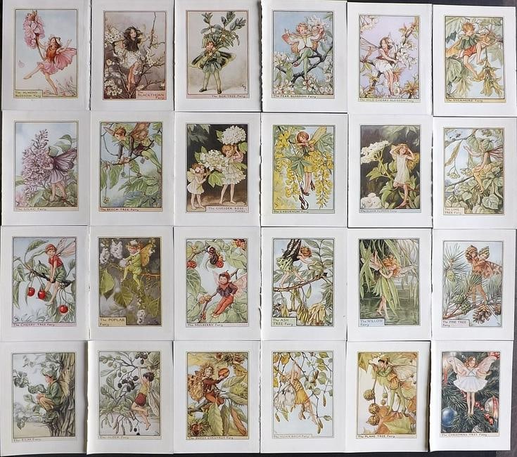 Barker, Cicely Mary C1940 Lot of 24 Flower-Fairy Prints - Tree: Tree Fairies. Lithographs Published C1935-45 by Blackie & Son, London & Glasgow for the "Flower-Fairies" Series by Cicely Mary Barker. Reverse side blank. Paper Size: 5.5 x 4 inch (14 x 10cm) Good Con