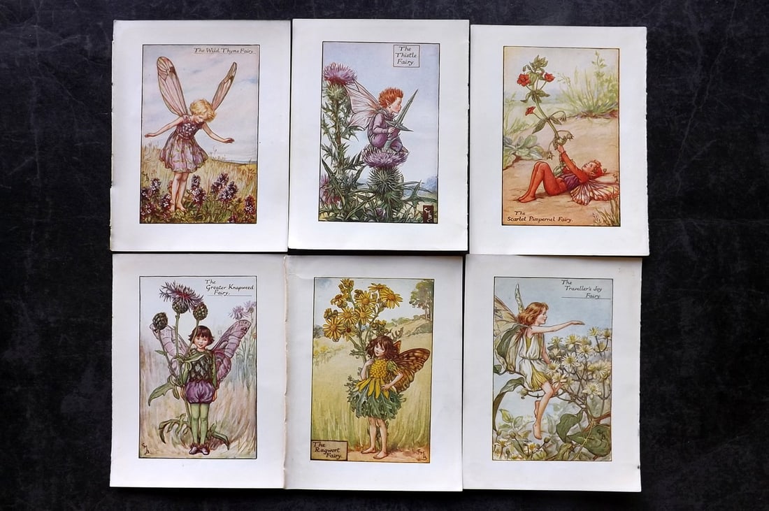 Barker, Cicely Mary C1940 Lot of 6 Flower-Fairy Prints - Summer: Spring Fairies. Lithographs Published C1935-45 by Blackie & Son, London & Glasgow for the "Flower-Fairies" Series by Cicely Mary Barker. Reverse side blank. Paper Size: 5.5 x 4 inch (14 x 10cm) Good C