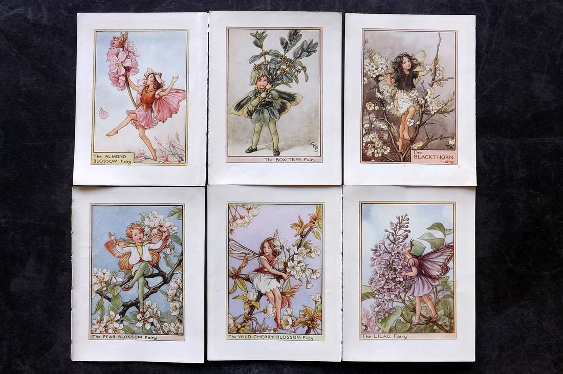 Barker, Cicely Mary C1940 Lot of 6 Flower-Fairy Prints - Tree: Tree Fairies. Lithographs Published C1935-45 by Blackie & Son, London & Glasgow for the "Flower-Fairies" Series by Cicely Mary Barker. Reverse side blank. Paper Size: 5.5 x 4 inch (14 x 10cm) Good Con
