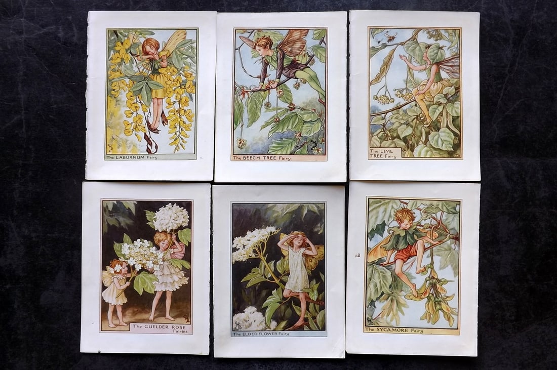 Barker, Cicely Mary C1940 Lot of 6 Flower-Fairy Prints - Tree: Tree Fairies. Lithographs Published C1935-45 by Blackie & Son, London & Glasgow for the "Flower-Fairies" Series by Cicely Mary Barker. Reverse side blank. Paper Size: 5.5 x 4 inch (14 x 10cm) Good Con