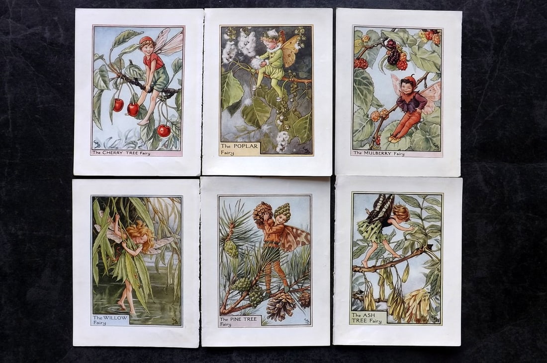 Barker, Cicely Mary C1940 Lot of 6 Flower-Fairy Prints - Tree: Tree Fairies. Lithographs Published C1935-45 by Blackie & Son, London & Glasgow for the "Flower-Fairies" Series by Cicely Mary Barker. Reverse side blank. Paper Size: 5.5 x 4 inch (14 x 10cm) Good Con