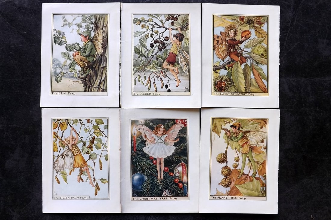 Barker, Cicely Mary C1940 Lot of 6 Flower-Fairy Prints - Tree: Tree Fairies. Lithographs Published C1935-45 by Blackie & Son, London & Glasgow for the "Flower-Fairies" Series by Cicely Mary Barker. Reverse side blank. Paper Size: 5.5 x 4 inch (14 x 10cm) Good Con