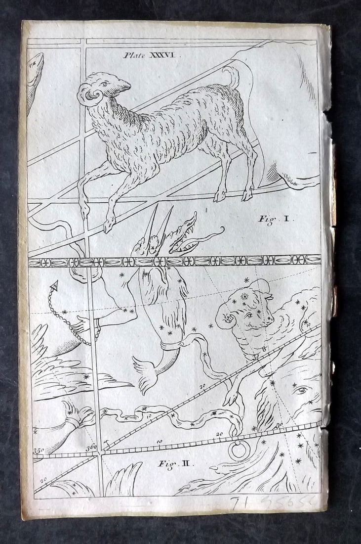 Martin, Benjamin 1781 Astronomy Print. Constellations (1 of 1)