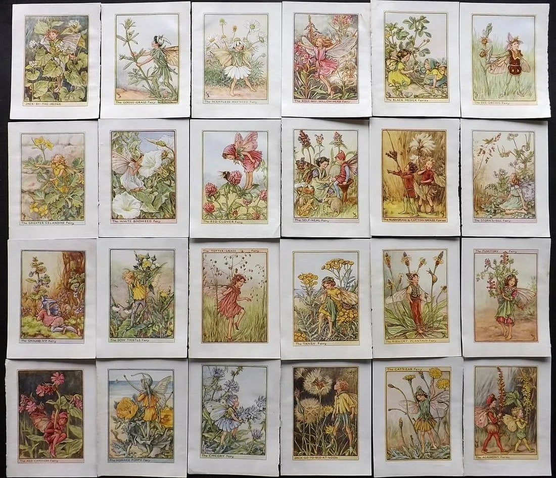 Barker, Cicely Mary C1940 Lot of 24 Flower-Fairy Prints: Wayside Fairies. Lithographs Published C1935-45 by Blackie & Son, London & Glasgow for the "Flower-Fairies" Series by Cicely Mary Barker. Reverse side blank. Paper Size: 5.5 x 4 inch (14 x 10cm) Good