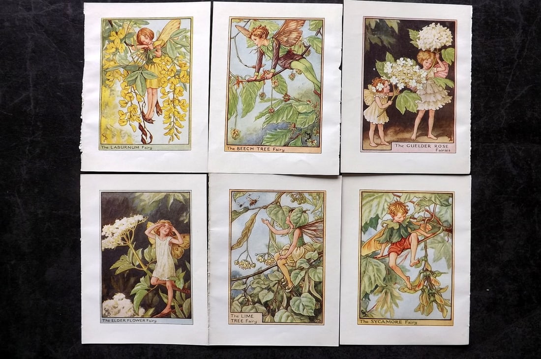 Barker, Cicely Mary C1940 Lot of 6 Flower-Fairy Prints - Tree: Tree Fairies. Lithographs Published C1935-45 by Blackie & Son, London & Glasgow for the "Flower-Fairies" Series by Cicely Mary Barker. Reverse side blank. Paper Size: 5.5 x 4 inch (14 x 10cm) Good Con