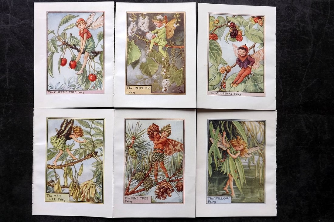 Barker, Cicely Mary C1940 Lot of 6 Flower-Fairy Prints - Tree: Tree Fairies. Lithographs Published C1935-45 by Blackie & Son, London & Glasgow for the "Flower-Fairies" Series by Cicely Mary Barker. Reverse side blank. Paper Size: 5.5 x 4 inch (14 x 10cm) Good Con