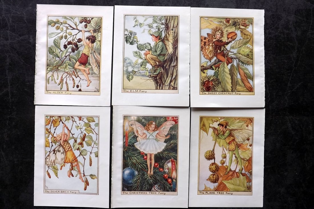 Barker, Cicely Mary C1940 Lot of 6 Flower-Fairy Prints - Tree: Tree Fairies. Lithographs Published C1935-45 by Blackie & Son, London & Glasgow for the "Flower-Fairies" Series by Cicely Mary Barker. Reverse side blank. Paper Size: 5.5 x 4 inch (14 x 10cm) Good Con