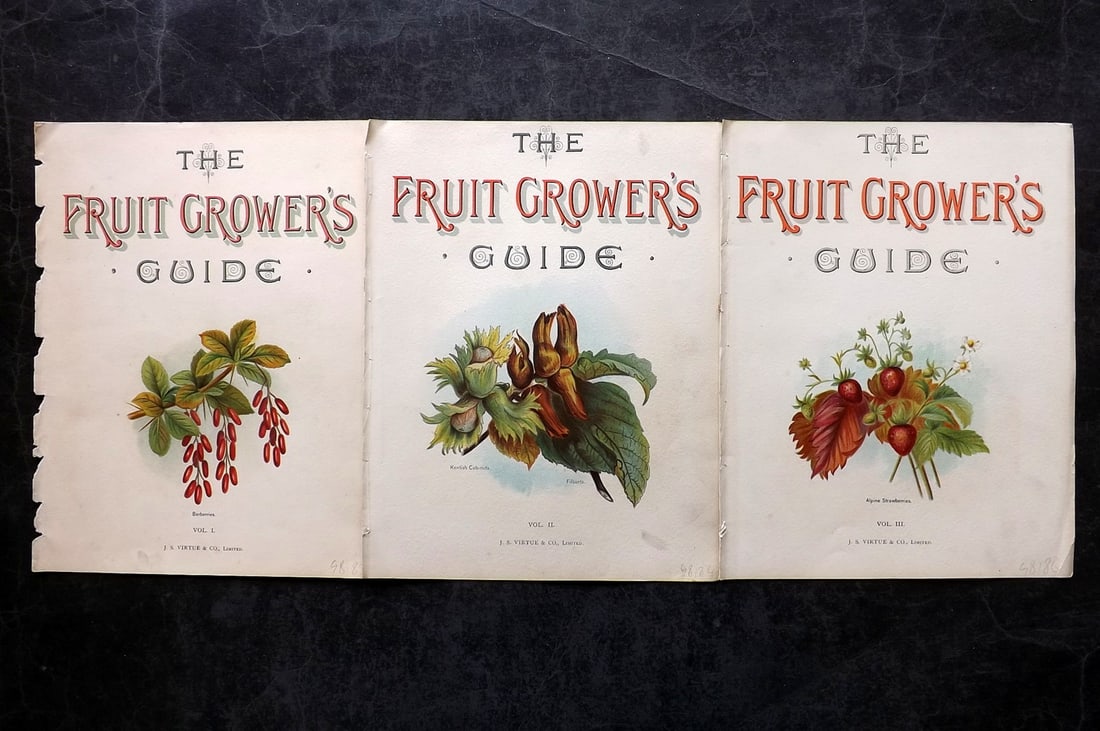 Wright, John 1894 Lot of 3 Fruit Prints. Illus. Title Pages: Chromolithographs Published 1892-4 by J.S. Virtue & Co, London for "The Fruit Growers Guide" First Edition by John Wright. Paper Size: 11 x 8 inch (28 x 21cm) Good Condition