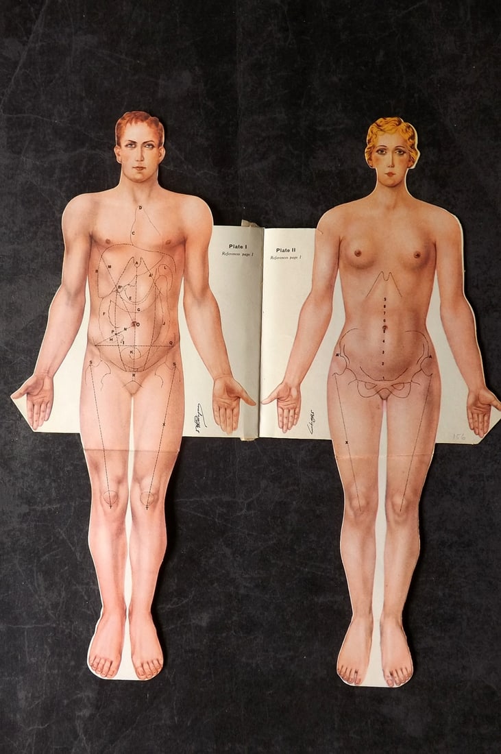 Virtue (Pub) C1940 Pop Up Anatomy Print - Body (1 of 2)