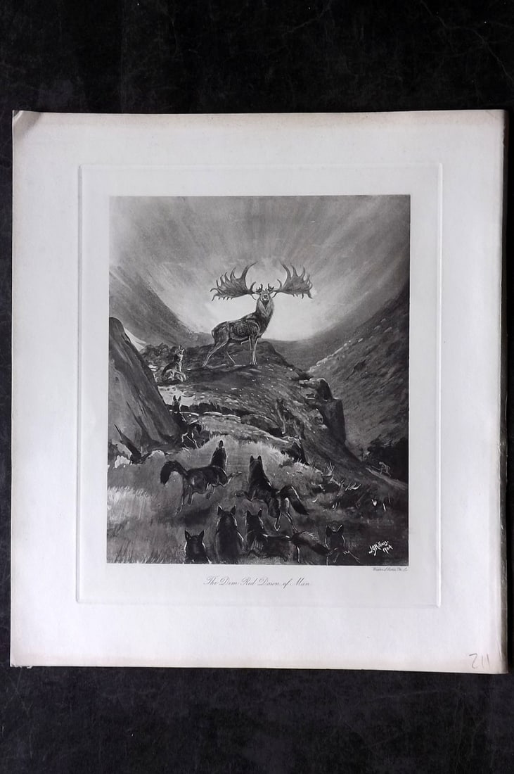 Millais, John 1904 Rare Folio Print. Deer Stag - Dim Red Dawn of Man (1 of 1)