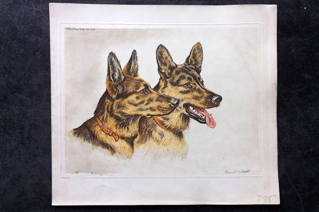 Wood, Paul C1935 Signed Dog Etching. Bergers (1 of 1)