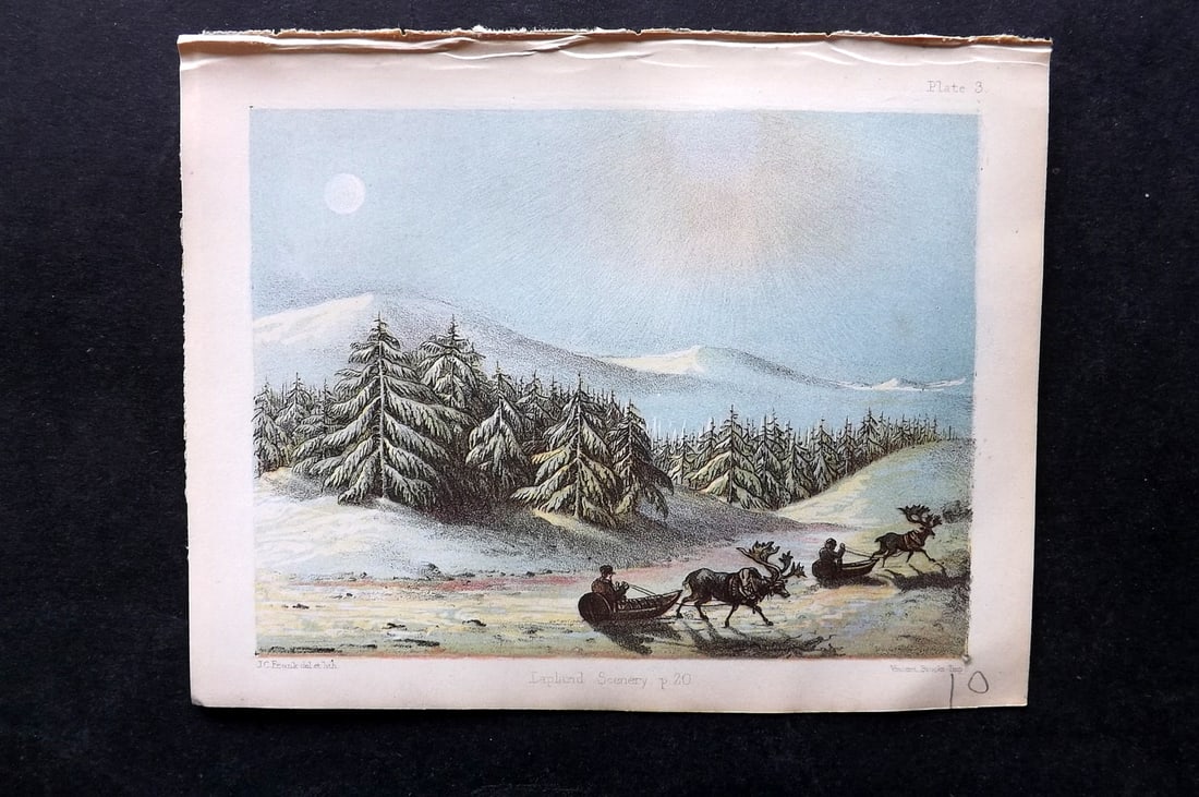 Daubeny, Charles 1855 Print. Lapland Scenery, Reindeer (1 of 1)