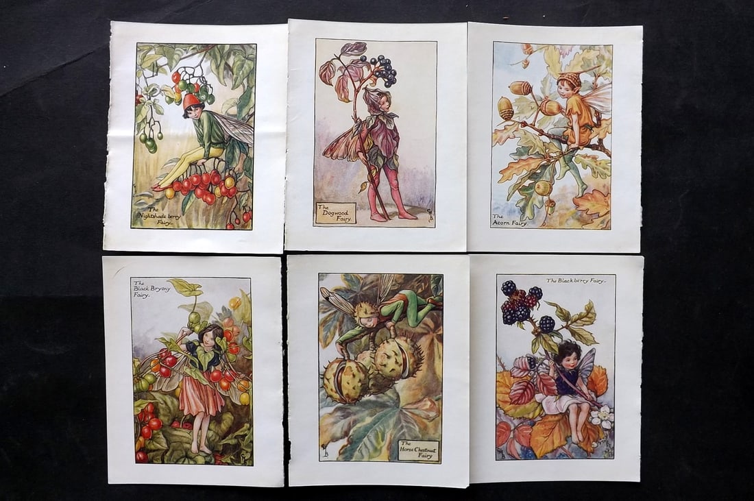 Barker, Cicely Mary C1940 Lot of 6 Flower-Fairy Prints - Autumn: Autumn Fairies. Lithographs Published C1935-45 by Blackie & Son, London & Glasgow for the "Flower-Fairies" Series by Cicely Mary Barker. Reverse side blank. Paper Size: 5.5 x 4 inch (14 x 10cm) Good C