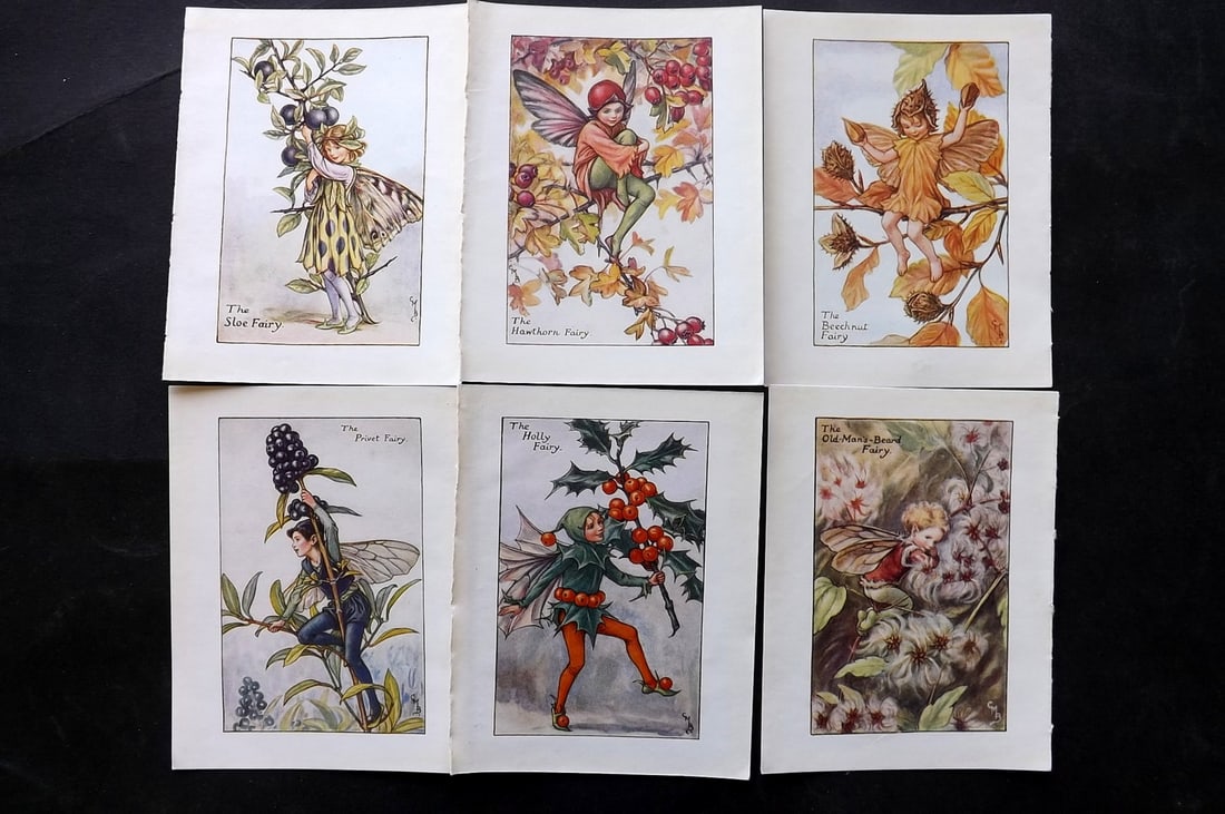 Barker, Cicely Mary C1940 Lot of 6 Flower-Fairy Prints - Autumn: Autumn Fairies. Lithographs Published C1935-45 by Blackie & Son, London & Glasgow for the "Flower-Fairies" Series by Cicely Mary Barker. Reverse side blank. Paper Size: 5.5 x 4 inch (14 x 10cm) Good C