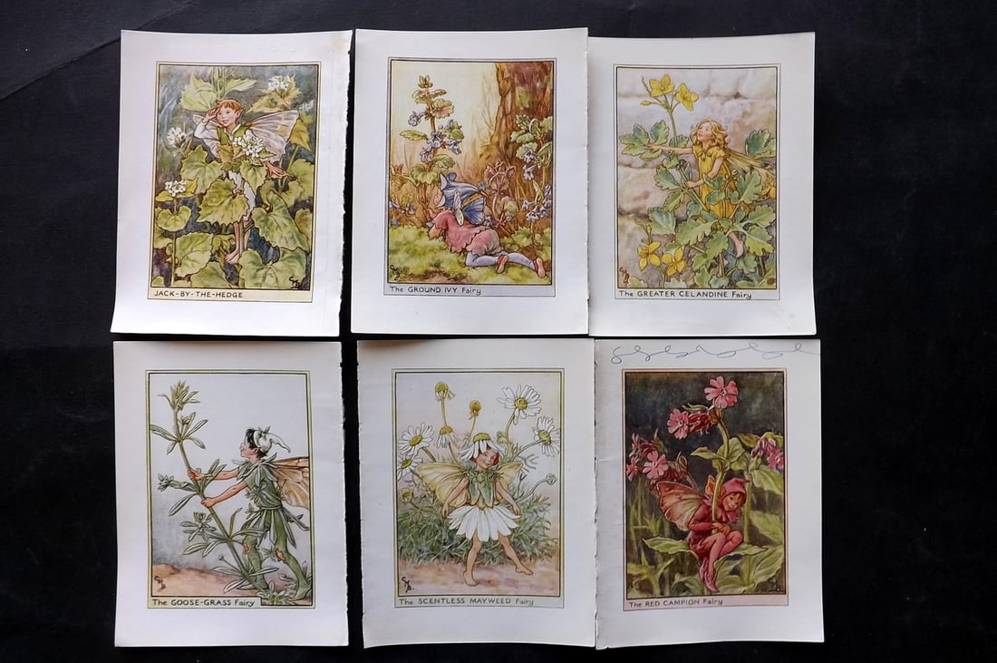 Barker, Cicely Mary C1940 Lot of 6 Flower-Fairy Prints - Wayside: Wayside Fairies. Lithographs Published C1935-45 by Blackie & Son, London & Glasgow for the "Flower-Fairies" Series by Cicely Mary Barker. Reverse side blank. Paper Size: 5.5 x 4 inch (14 x 10cm) One w