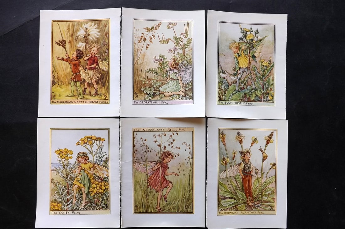 Barker, Cicely Mary C1940 Lot of 6 Flower-Fairy Prints - Wayside: Wayside Fairies. Lithographs Published C1935-45 by Blackie & Son, London & Glasgow for the "Flower-Fairies" Series by Cicely Mary Barker. Reverse side blank. Paper Size: 5.5 x 4 inch (14 x 10cm) Good 