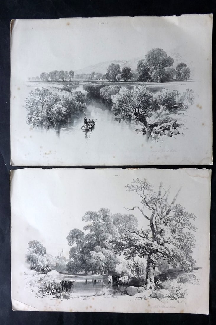 Harding, J. D. 1850 Pair of Folio Antique Tree Prints (1 of 2)