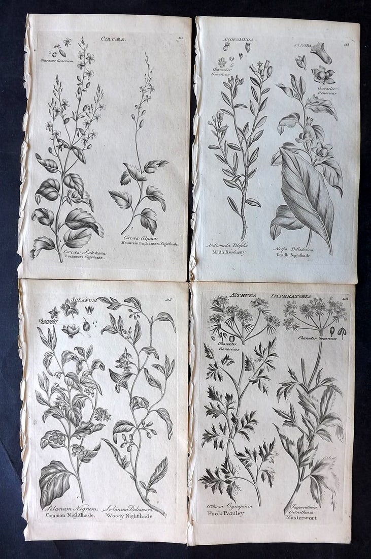 Hill & Culpeper 1802 Lot of 4 Antique Botanical Prints: Copper Plates Published 1802, London for "Culpeper's English Family Physician" by Nicholas Culpeper, Joshua Hamilton and William Saunders. Illustrations from John Hill's Vegetable System. Paper Size: 