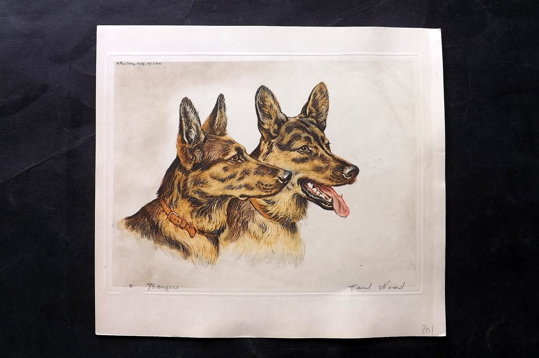 Wood, Paul C1935 Signed Dog Etching. Bergers (1 of 1)