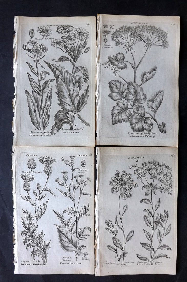 Hill & Culpeper 1802 Lot of 4 Antique Botanical Prints (1 of 2)