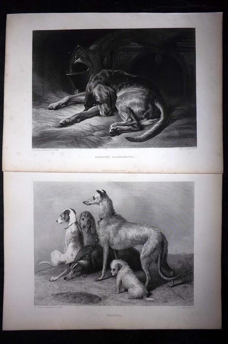 Landseer, Edwin 1880 Pair of Folio Antique Dog Prints (1 of 2)