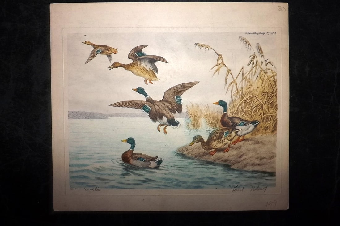 Wood, Paul C1935 Signed Bird Etching. Departure Geese Ducks (1 of 1)