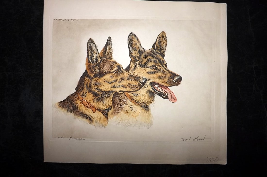 Wood, Paul C1935 Signed Dog Etching. Bergers (1 of 1)