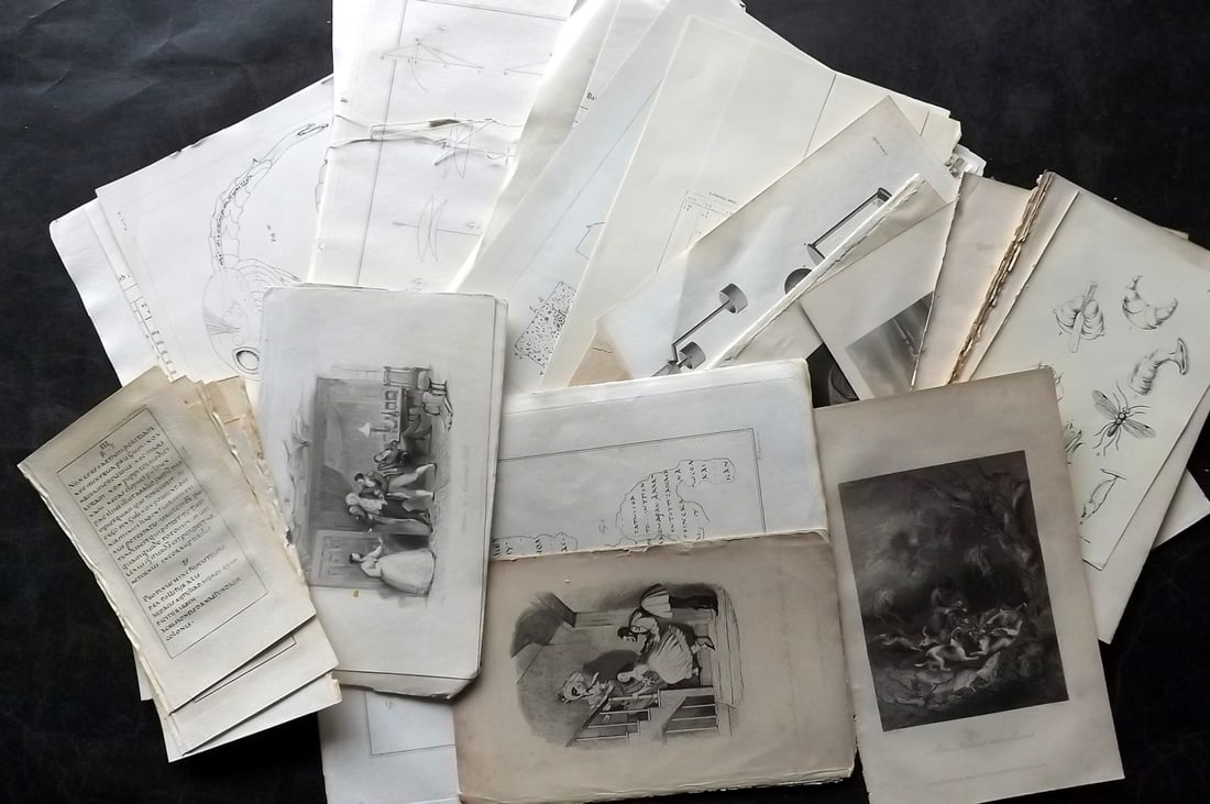 Mixed Prints 18th-19th Cent. Lot of 50 Engravings & Lithos: Lot of 50 Engravings and Lithos. Incl Natural History, Charts, Sporting, Genre, Science etc. Paper Size: Up to 16.5 x 10.5 inch (42 x 27cm) Some faults, good overall