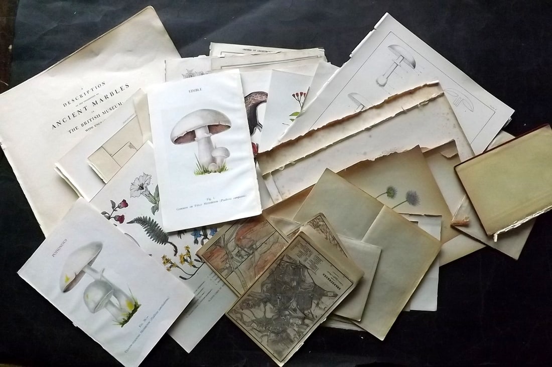 Mixed Prints & Maps 18th-20th Cent. Lot of 70 Engravings & Lithos (1 of 10)