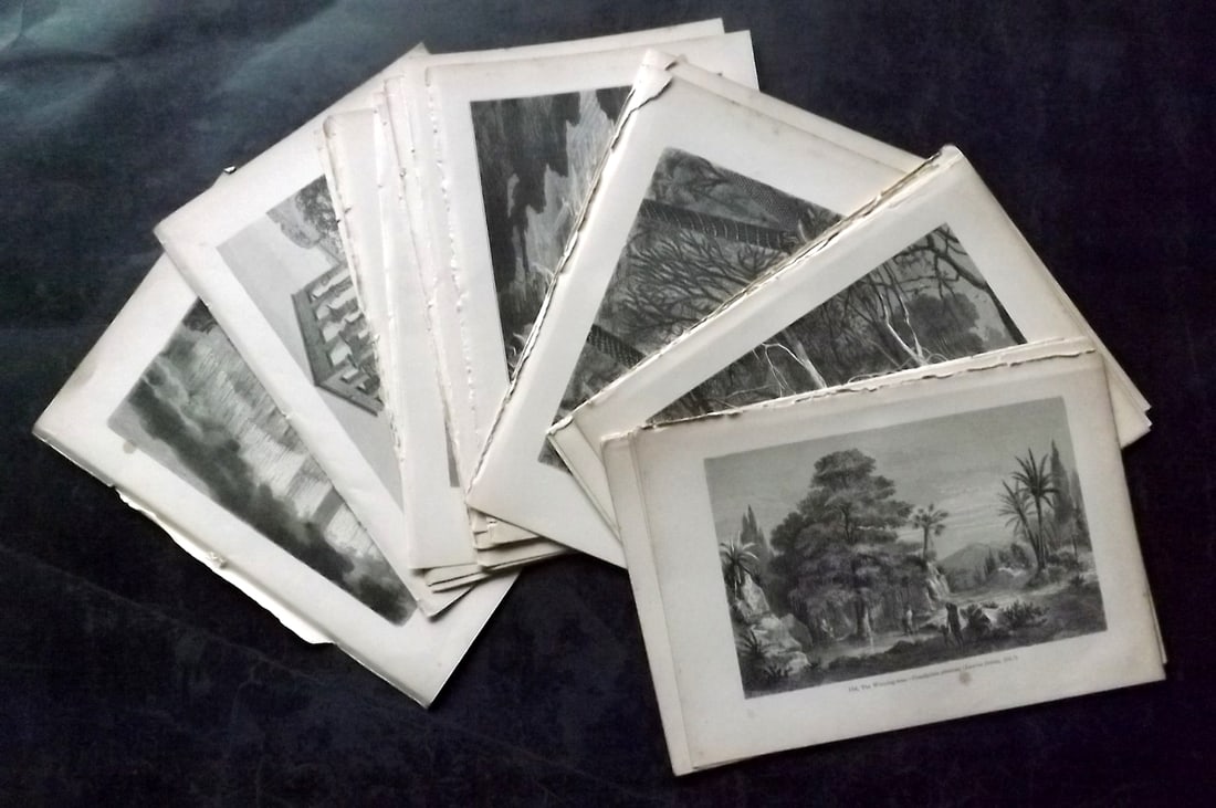 Pouchet, F. A. C1880 Lot of 24 Prints. Trees, Landscapes, Views etc (1 of 6)