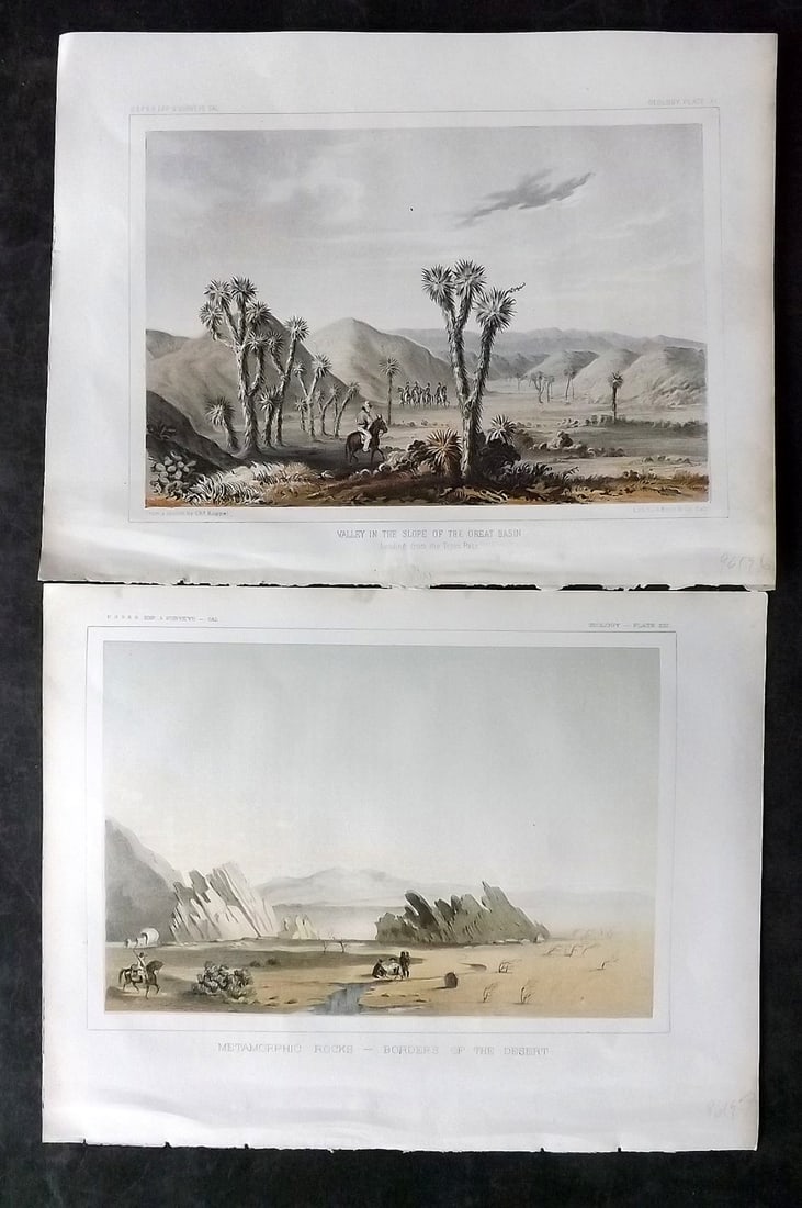 Williamson, Lieut. R. S. 1856 Pair of Prints of California: Lithograph Published 1853-61, Washington for "Reports of explorations and surveys, to ascertain the most practicable and economical route for a railroad from the Mississippi River to the Pacific Ocean