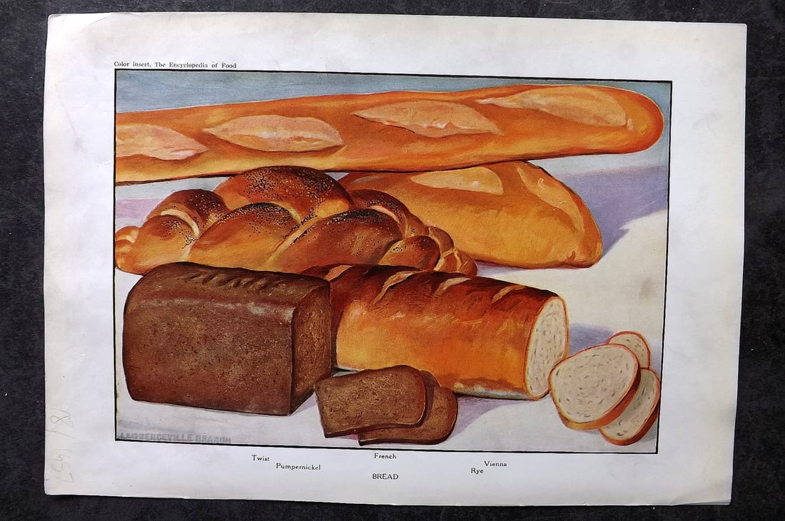 Ward, Artemas 1923 Food Print. Bread - French, Vienna, Rye, Twist: Offset Lithographs Published 1923, New York for "The Encyclopedia of Food" by Artemas Ward. Paper Size: 10.5 x 7.5 inch (27 x 19cm) Discrete ink library stamp on edge of bottom image. Otherwise genera