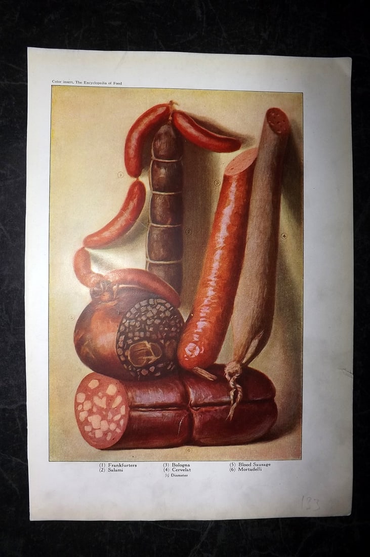 Ward, Artemas 1923 Food Print. Sausage - Salami, ranfurter, Bologna: Offset Lithographs Published 1923, New York for "The Encyclopedia of Food" by Artemas Ward. Paper Size: 10.5 x 7.5 inch (27 x 19cm) Tiny margin tear. Very minor margin dust soiling. Image fine