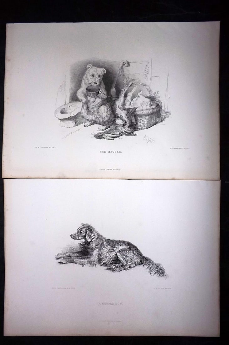 Landseer, Edwin 1880 Pair of Folio Antique Dog Prints: Folio Steel Engravings Published 1879-80 by Virtue & Co, London for "Landseer's Works" by W. Cosmo Monkhouse. Paper Size: 14 x 10 inch (36 x 26cm) Good Condition