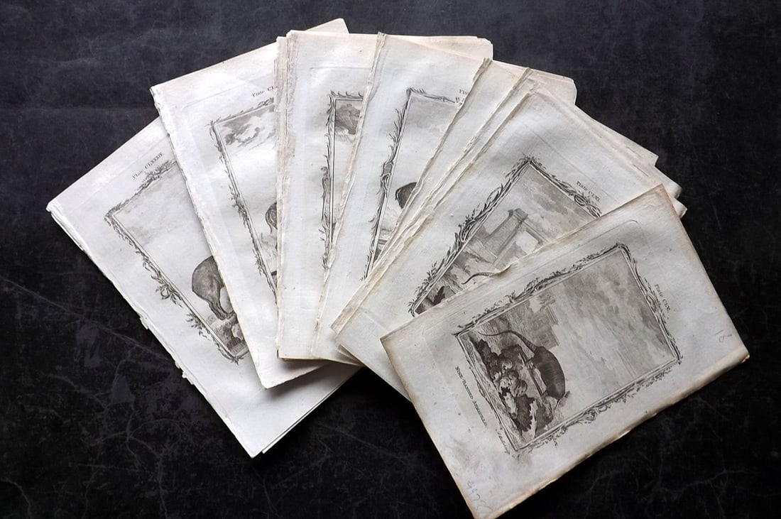 Buffon, Comte de 1785 Lot of 18 Animal Prints: Copper Plate Published 1785, London for "Natural History, General and Particular" by the Count de Buffon. Translated by William Smellie. Paper Size: 8.5 x 5 inch (22 x 13cm) Good Condition