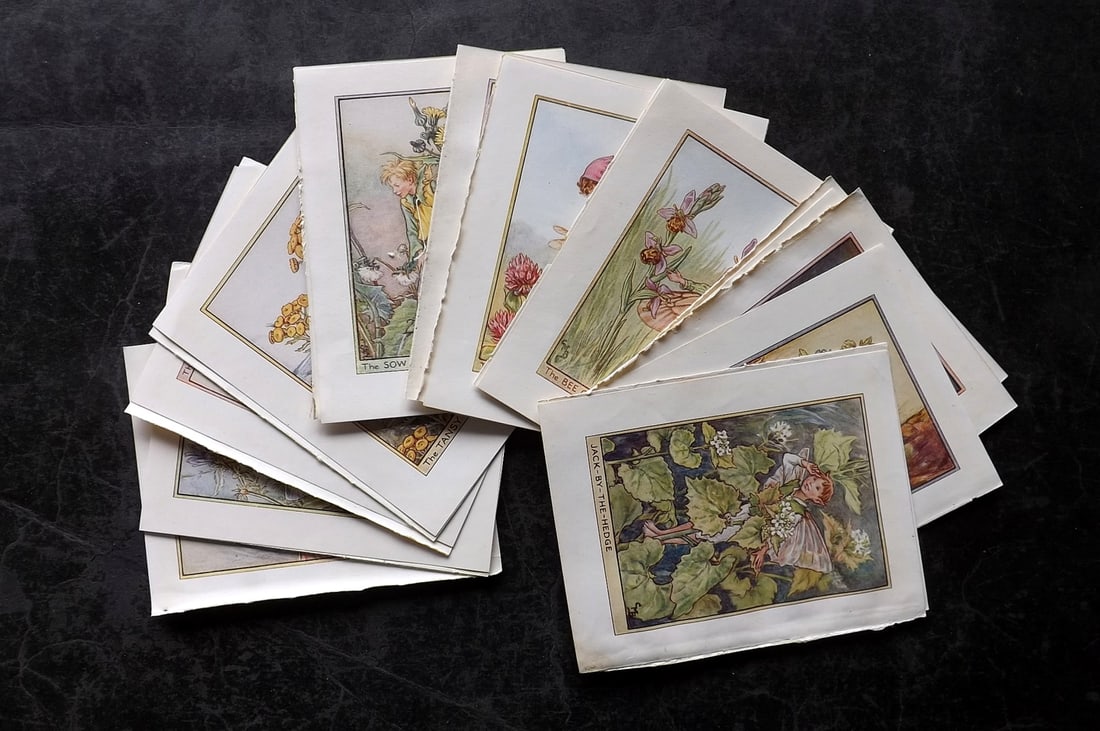 Barker, Cicely Mary C1940 Lot of 24 Flower-Fairy Prints - Wayside: Wayside Fairies. Lithographs Published C1935-45 by Blackie & Son, London & Glasgow for the "Flower-Fairies" Series by Cicely Mary Barker. Reverse side blank. Paper Size: 5.5 x 4 inch (14 x 10cm) Good 