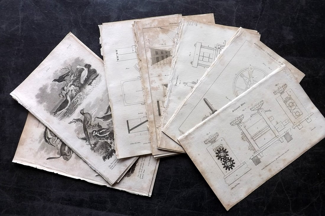 Nicholson, William 1809 Mixed Lot of 17 Antique Prints (1 of 4)