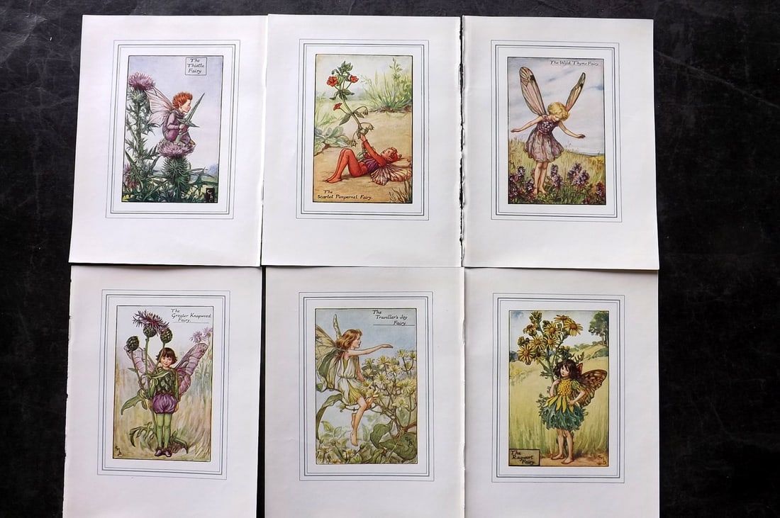 Barker, Cicely Mary C1940 Lot of 6 Flower-Fairy Prints: Lithographs Published C1935-45 by Blackie & Son, London & Glasgow for the "Flower-Fairies" Series by Cicely Mary Barker. Slightly Larger images/paper than usual from "The Book of the Flower Fairies" R