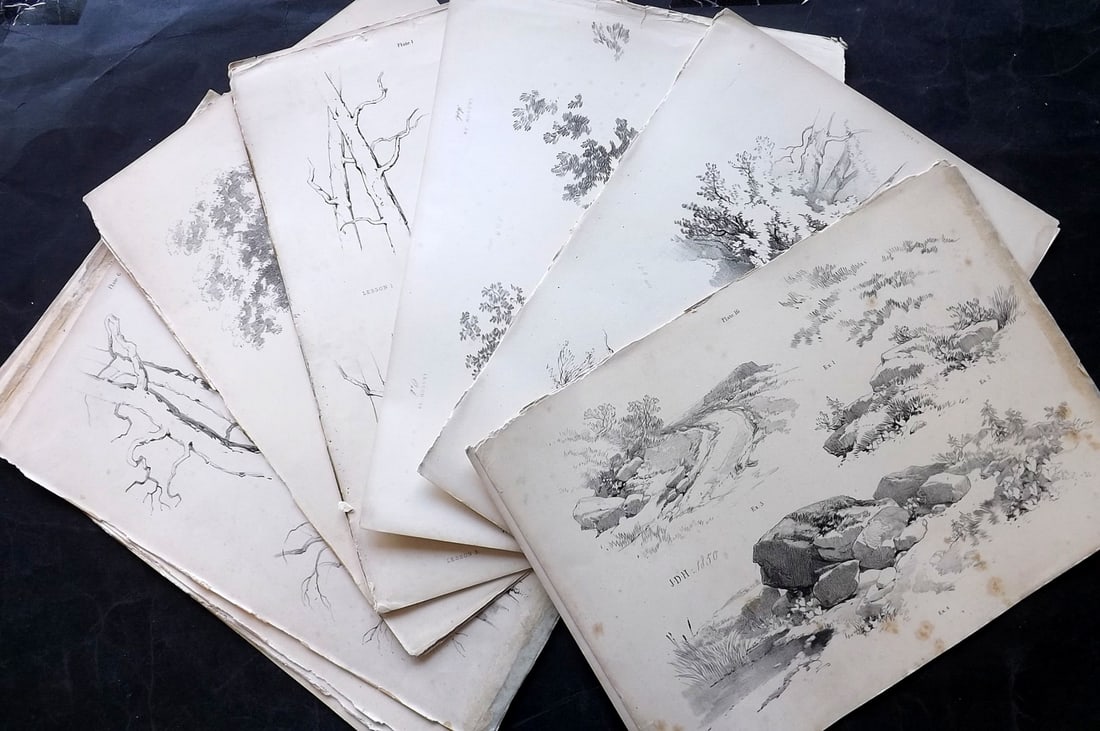 Harding, J. D. 1850 Lot of 14 Folio Antique Tree Prints (1 of 8)