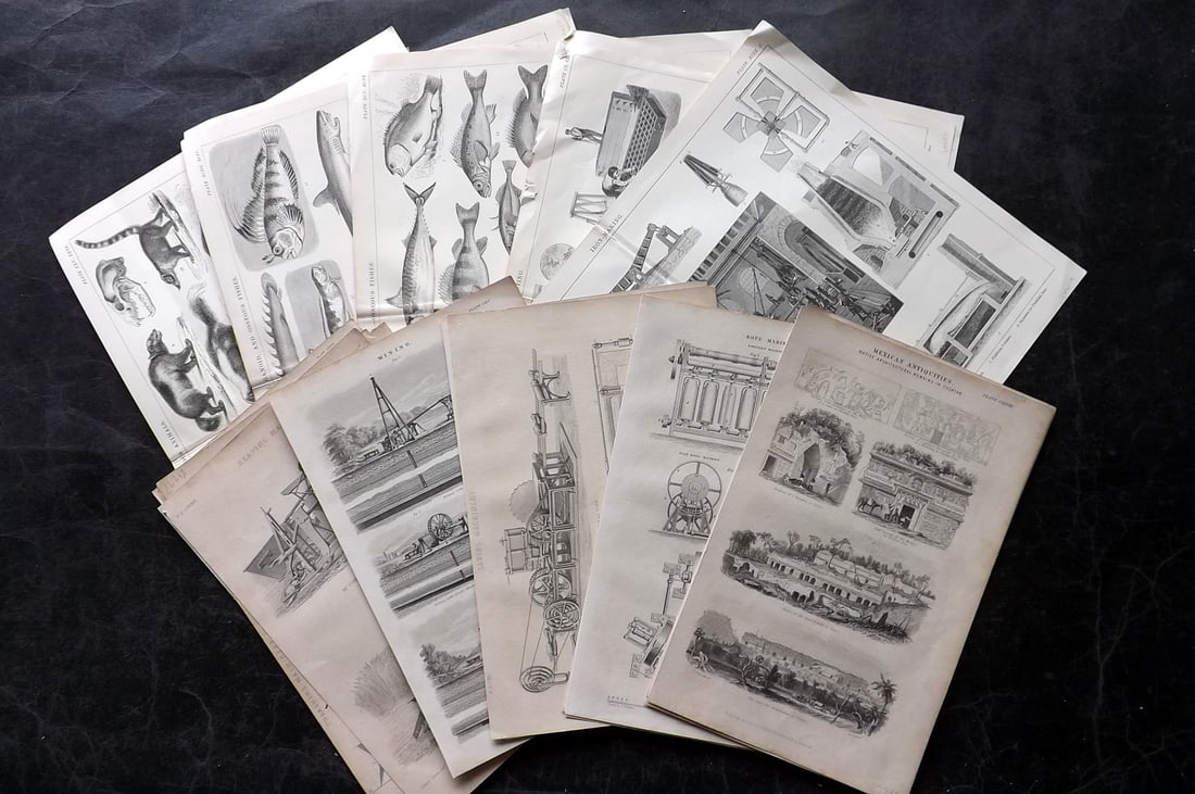 Blackie (Pub) C1850-75 Lot of 22 Prints. Science, Natural History etc (1 of 6)