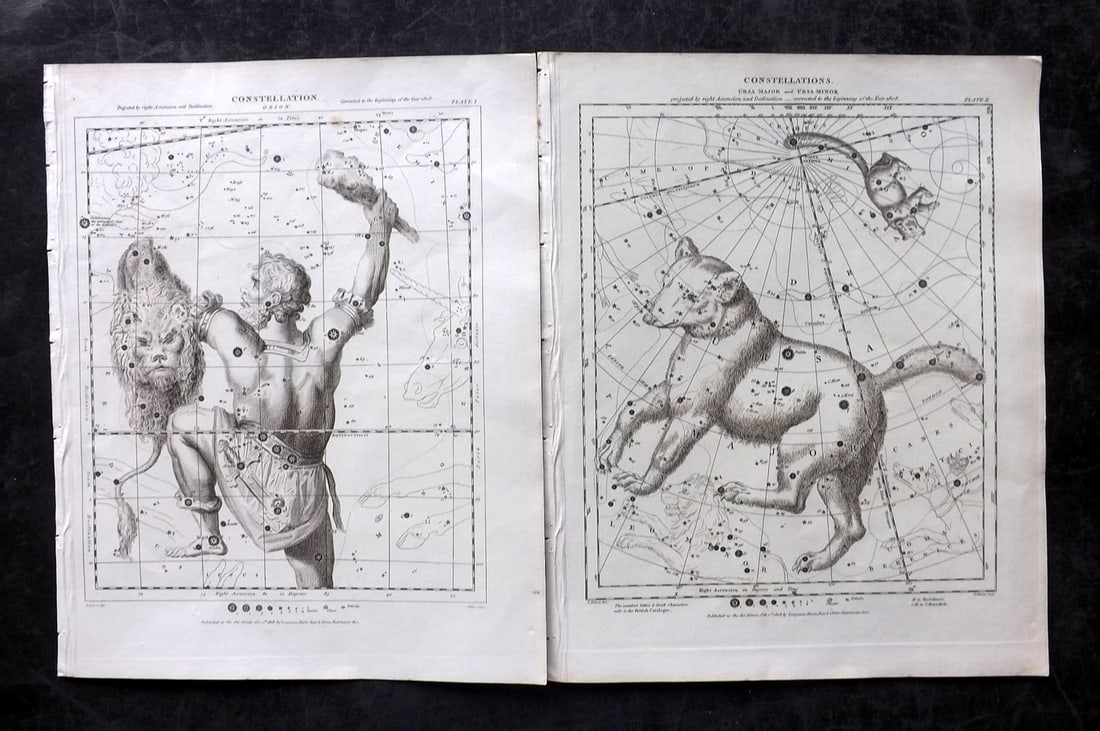 Rees, Abraham 1820 Pair of Celestial Astronomy Prints. Constellations (1 of 2)