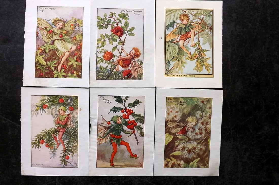 Barker, Cicely Mary C1940 Lot of 6 Flower-Fairy Prints: Lithographs Published C1935-45 by Blackie & Son, London & Glasgow for the "Flower-Fairies" Series by Cicely Mary Barker. Reverse side blank. Paper Size: 5.5 x 4 inch (14 x 10cm) Good Condition
